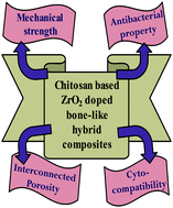 Graphical abstract: Mechanical and biological investigations of chitosan–polyvinyl alcohol based ZrO2 doped porous hybrid composites for bone tissue engineering applications