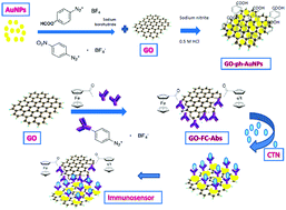 Graphical abstract: A label-free electrochemical immunosensor based on gold nanoparticles and graphene oxide for the detection of tumor marker calcitonin