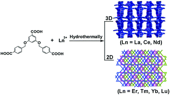 Graphical abstract: Synthesis, characterization and properties of lanthanide coordination polymers with 3,5-bis(4-carboxyphenylmethyloxy) benzoic acid