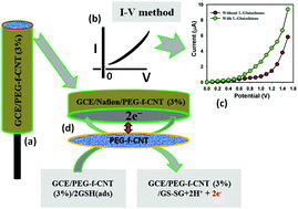 Graphical abstract: Fabrication of an l-glutathione sensor based on PEG-conjugated functionalized CNT nanocomposites: a real sample analysis