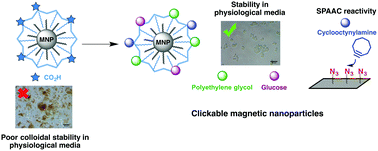 Graphical abstract: Covalent immobilisation of magnetic nanoparticles on surfaces via strain-promoted azide–alkyne click chemistry