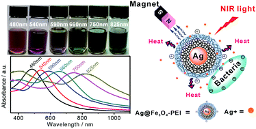 Graphical abstract: Facile synthesis of tunable plasmonic silver core/magnetic Fe3O4 shell nanoparticles for rapid capture and effective photothermal ablation of bacterial pathogens