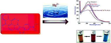 Graphical abstract: A reusable multichannel anthraimidazoledione-based receptor for Hg2+ and Cu2+ ions: ultrasensitive, economical and facile detection of Hg2+ in real water sources through fluorescence readout