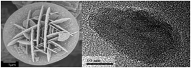 Graphical abstract: Particle size, morphology and phase transitions in hydrothermally produced VO2(D)