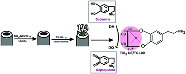 Graphical abstract: Nanorod TiO2 sensor for dopamine: a voltammetric study