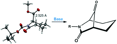 Graphical abstract: Synthesis of a bicyclic oxo-γ-lactam from a simple caprolactam derivative