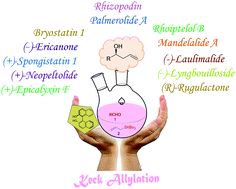 Graphical abstract: Applications of Keck allylation in the synthesis of natural products