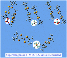 Graphical abstract: Application of superhalogens in the design of organic superconductors