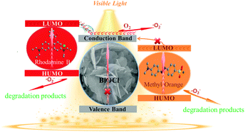 Graphical abstract: The excellent dye-photosensitized degradation performance over hierarchical BiOCl nanostructures fabricated via a facile microwave-hydrothermal process