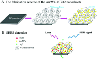 Graphical abstract: Au nanoparticle-modified WO3 nanoflowers/TiO2 nanotubes used for the SERS detection of dyes