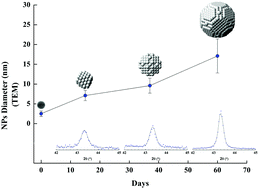 Graphical abstract: Controlled growth of metallic copper nanoparticles