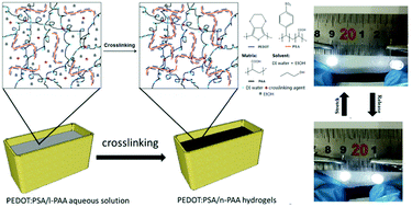 Graphical abstract: Highly stretchable polymer conductors based on as-prepared PEDOT:PSA/n-PAA hydrogels