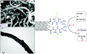 Graphical abstract: CuCl heterogenized on metformine-modified multi walled carbon nanotubes as a recyclable nanocatalyst for Ullmann-type C–O and C–N coupling reactions