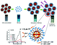 Graphical abstract: Polyol asserted hydrothermal synthesis of SnO2 nanoparticles for the fast adsorption and photocatalytic degradation of methylene blue cationic dye