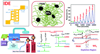 Graphical abstract: Ammonia vapour sensing properties of in situ polymerized conducting PANI-nanofiber/WS2 nanosheet composites