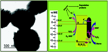 Graphical abstract: Visible light-assisted photocatalytic mineralization of diuron pesticide using novel type II CuS/Bi2W2O9 heterojunctions with a hierarchical microspherical structure
