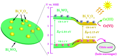 Graphical abstract: Construction of the Bi2WO6/Bi4V2O11 heterojunction for highly efficient visible-light-driven photocatalytic reduction of Cr(vi)