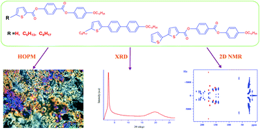 Graphical abstract: Effect of alkyl chain and linking units on mesophase transitions and molecular order of rod-like thiophene mesogens: 13C NMR investigation