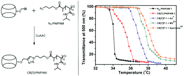 Graphical abstract: Thermal responsiveness and binding affinity of cucurbit[7]uril terminal poly(N-isopropylacrylamide)