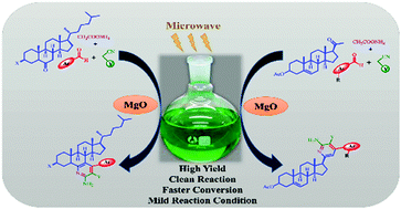 Graphical abstract: Microwave-assisted MgO NP catalyzed one-pot multicomponent synthesis of polysubstituted steroidal pyridines