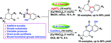 Graphical abstract: Divergent synthesis of 3,4-dihydrodibenzo[b,d]furan-1(2H)-ones and isocoumarins via additive-controlled chemoselective C–C or C–N bond cleavage