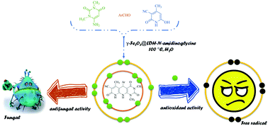 Graphical abstract: γ-Fe2O3@Cu3Al-LDH-N-amidinoglycine: a new amphoteric and reusable magnetic nanocatalyst for the synthesis of new pyrimidonaphthyridine derivatives and their antioxidant and antifungal activity evaluation