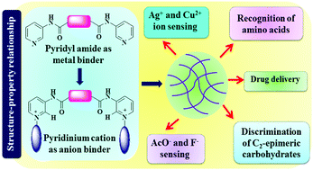 Graphical abstract: Pyridine/pyridinium symmetrical bisamides as functional materials: aggregation, selective sensing and drug release