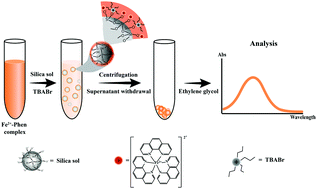 Graphical abstract: A simple dispersive-micro-solid phase extraction based on a colloidal silica sorbent for the spectrophotometric determination of Fe(ii) in the presence of tetrabutylammonium bromide