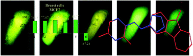 Graphical abstract: Designing model imino bifunctional chelators for radiopharmaceuticals – in vitro antitumor activity, photoluminescence and structural analysis