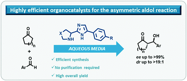 Graphical abstract: Highly efficient organocatalysts for the asymmetric aldol reaction