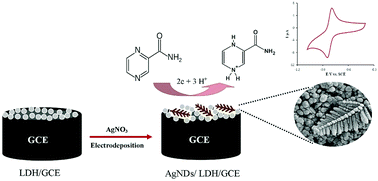Graphical abstract: Layered double hydroxide decorated with Ag nanodendrites as an enhanced sensing platform for voltammetric determination of pyrazinamide
