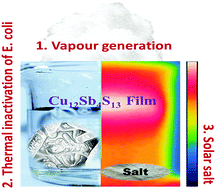 Graphical abstract: Hydrophobic Cu12Sb4S13-deposited photothermal film for interfacial water evaporation and thermal antibacterial activity