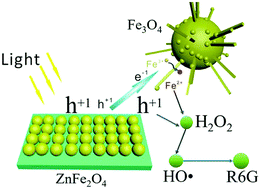 Graphical abstract: Fe3O4/ZnFe2O4 micro/nanostructures and their heterogeneous efficient Fenton-like visible-light photocatalysis process