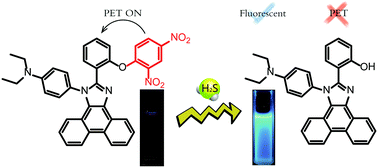Graphical abstract: A novel fluorescent probe for selective detection of hydrogen sulfide in living cells