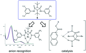 Graphical abstract: Hydrogen-bonding cyclodiphosphazanes: superior effects of 3,5-(CF3)2-substitution in anion-recognition and counter-ion catalysis