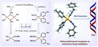 Graphical abstract: Synthesis, structural characterization, biological evaluation and molecular docking studies of new platinum(ii) complexes containing isocyanides