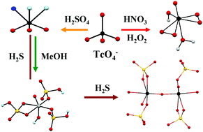 Graphical abstract: Speciation and reactivity of heptavalent technetium in strong acids