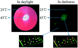 Graphical abstract: A thermochromic luminous polyurethane based on long persistent luminescent phosphors and thermochromic pigment