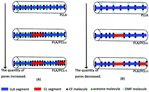 Graphical abstract: Electrospun porous PLLA and poly(LLA-co-CL) fibers by phase separation