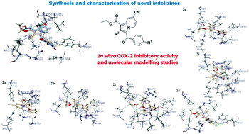 Graphical abstract: Efficient synthesis and characterization of novel indolizines: exploration of in vitro COX-2 inhibitory activity and molecular modelling studies