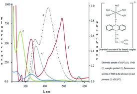 Graphical abstract: A promazine derivative-oriented chemical sensor for ultra-sensitive chromium determination