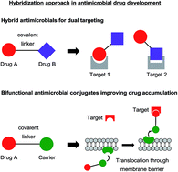 Graphical abstract: Bifunctional antimicrobial conjugates and hybrid antimicrobials