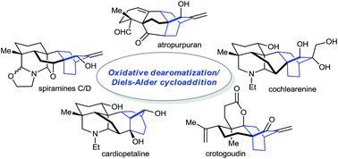 Graphical abstract: Enabling syntheses of diterpenoid alkaloids and related diterpenes by an oxidative dearomatization/Diels–Alder cycloaddition strategy
