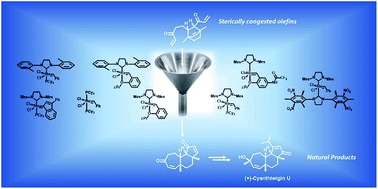 Graphical abstract: Natural products and ring-closing metathesis: synthesis of sterically congested olefins