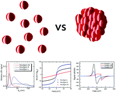 Graphical abstract: Size and property bimodality in magnetic nanoparticle dispersions: single domain particles vs. strongly coupled nanoclusters