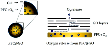 Graphical abstract: Graphene oxide-stabilized perfluorocarbon emulsions for controlled oxygen delivery