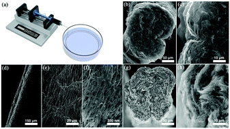 Graphical abstract: High-performance hybrid carbon nanotube fibers for wearable energy storage