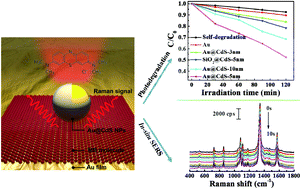 Graphical abstract: In situ SERS study of surface plasmon resonance enhanced photocatalytic reactions using bifunctional Au@CdS core–shell nanocomposites