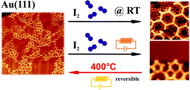 Graphical abstract: Reversible intercalation of iodine monolayers between on-surface synthesised covalent polyphenylene networks and Au(111)