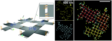 Graphical abstract: Metrology of DNA arrays by super-resolution microscopy
